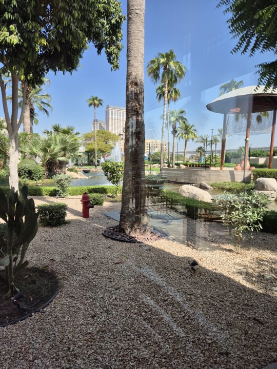 Gartenanlage Grand Hyatt Dubai