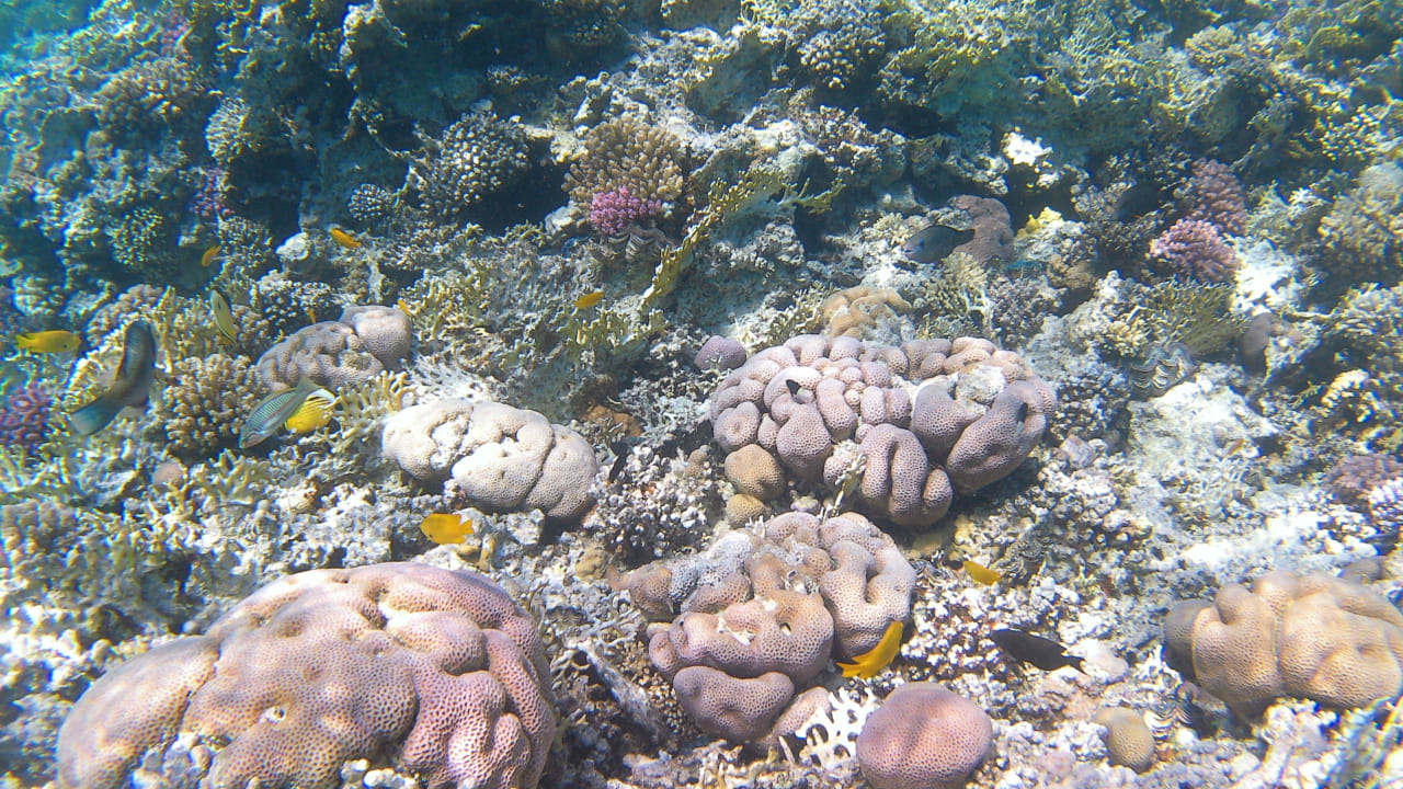 Sport & Freizeit Makadi Spa - Adults only