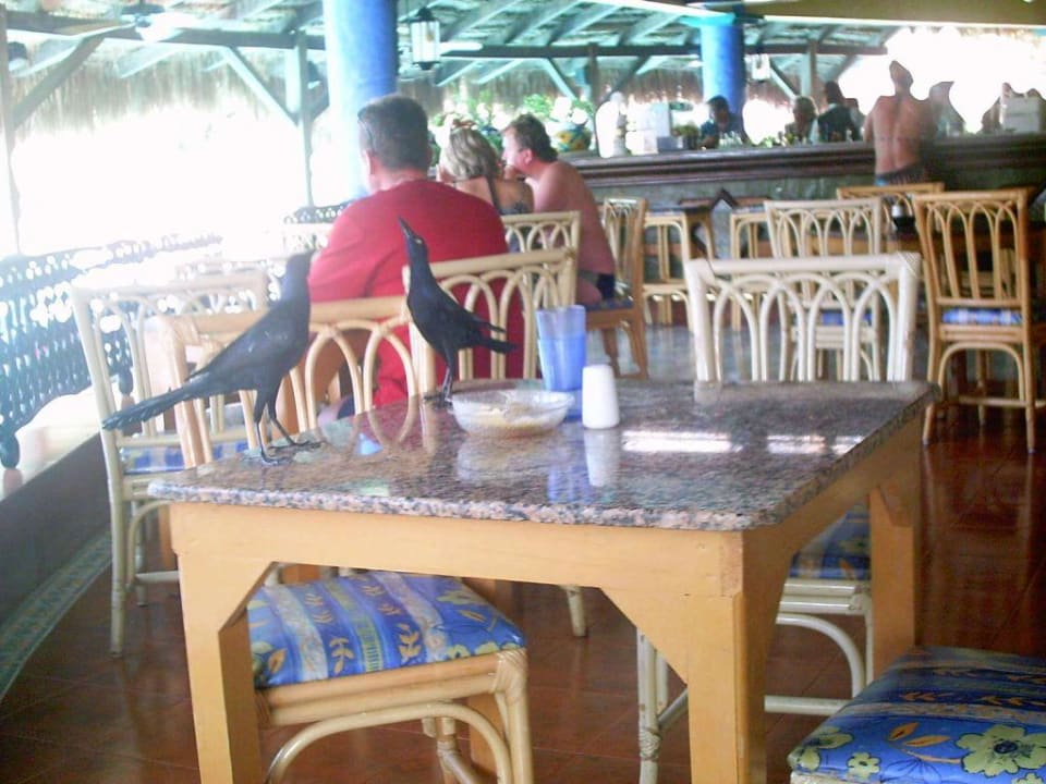 Poolrestaurant Lupita Hotel Riu Tequila