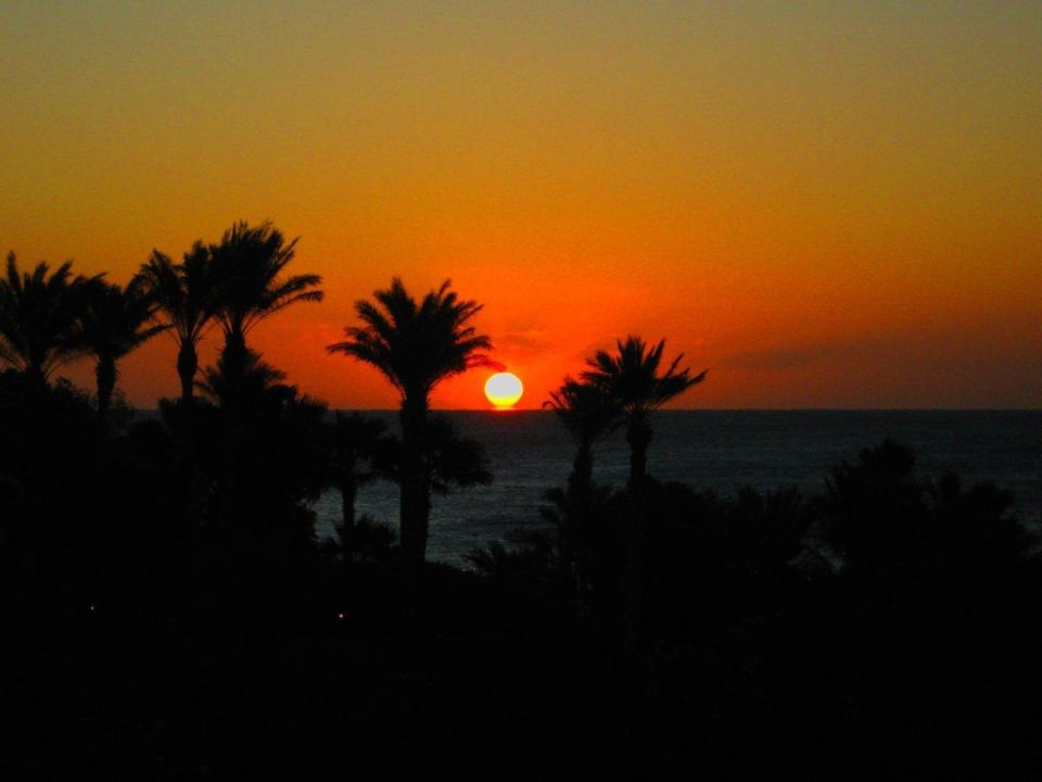 Jeden Morgen dieses Bild Fort Arabesque Resort, Spa & Villas