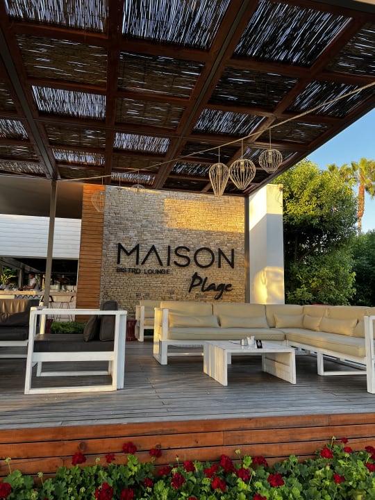 Gastro Acanthus Cennet Barut Collection