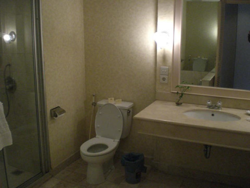 Badezimmer - groß, aber in die Jahre gekommen Hotel Grand Mutiara
