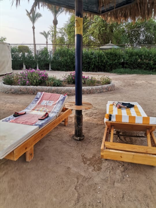 Strand Regina Resort and Aqua Park Hurghada