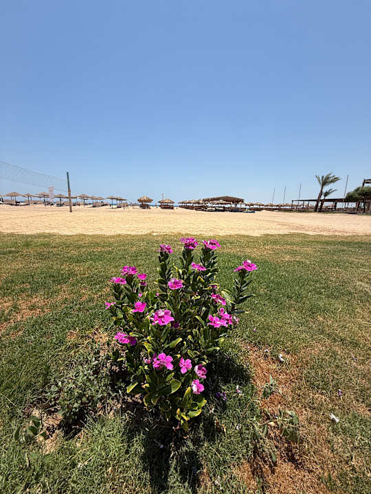 Strand Imperial Shams Abu Soma