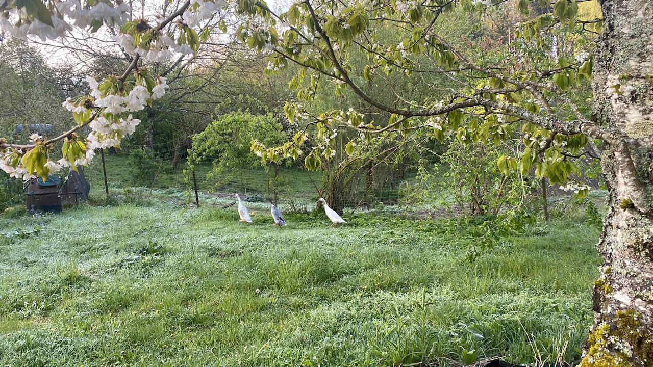 Außenansicht S'Fleckli Bioland Ferienbauernhof