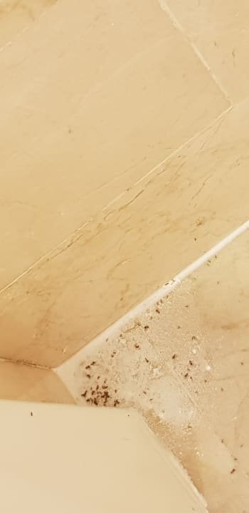 Sonstiges Hotel Riu Palace Jandia