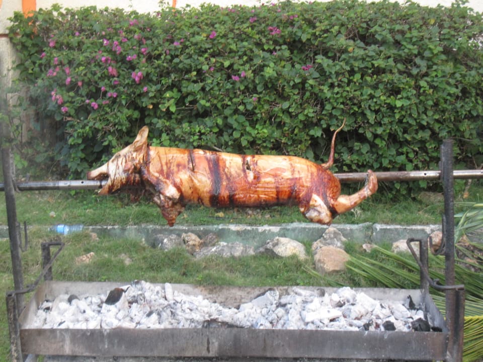 Kubanischer Nachmittag Sol Rio De Luna y Mares