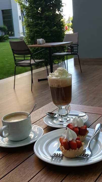 Gastro Acanthus Cennet Barut Collection