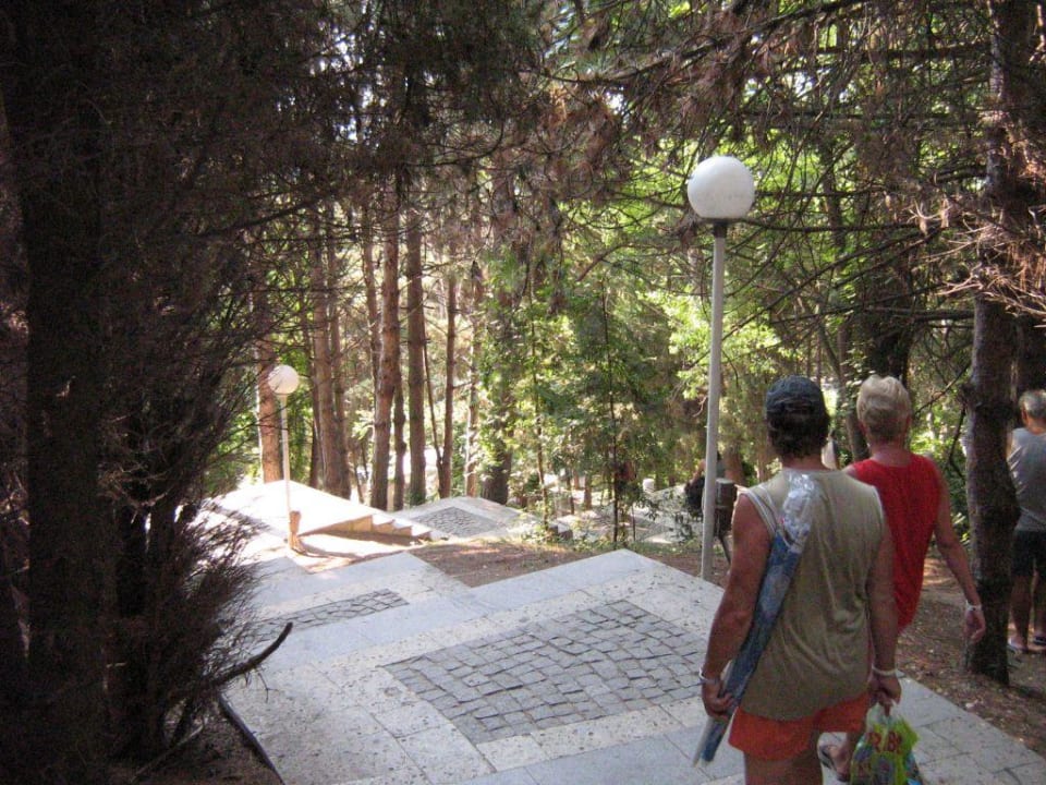 Die vielgehassten 131 Stufen Hotel Althea