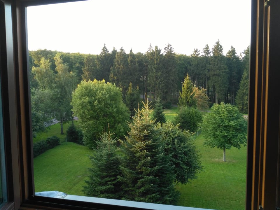 Ausblick aus dem Zimmer Waldhotel Rennsteighof