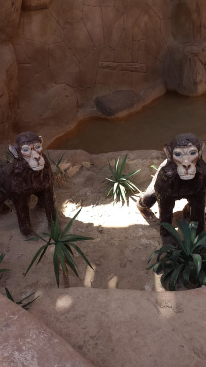 In der Anlage Pickalbatros Jungle Aqua Park Resort - Neverland Hurghada