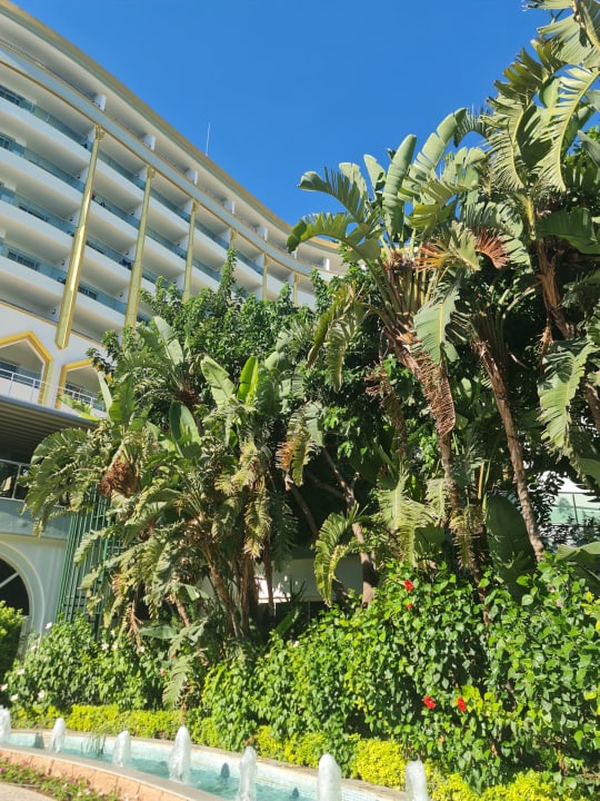 Außenansicht Hotel Delphin Imperial