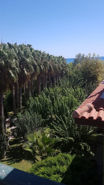 Ausblick Hotel Gardenia Beach