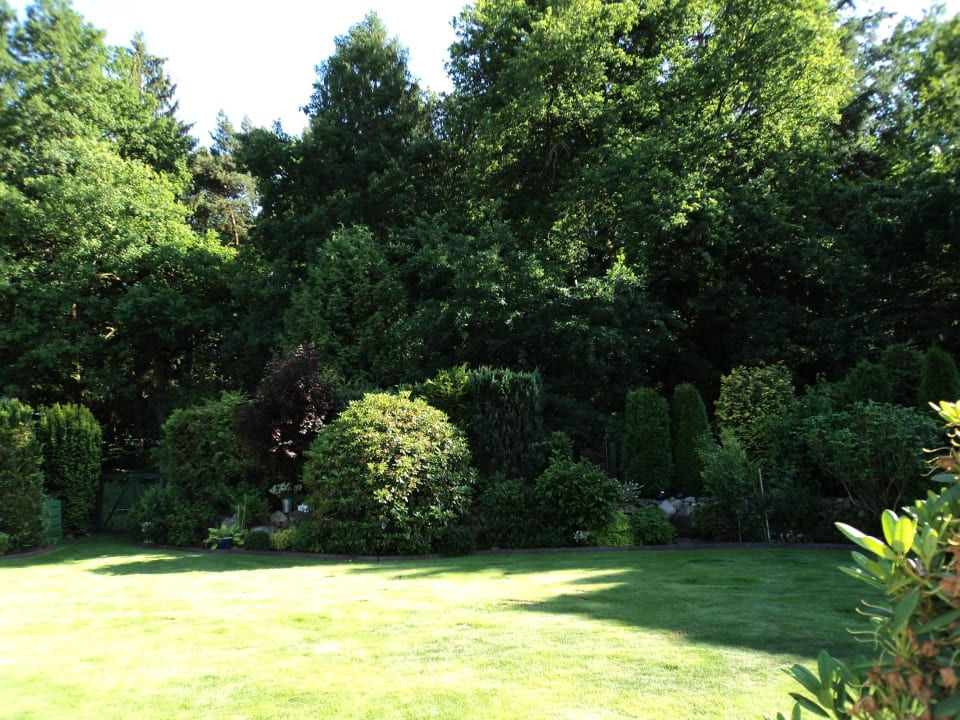 Aussicht ins Grüne Haus am Wald