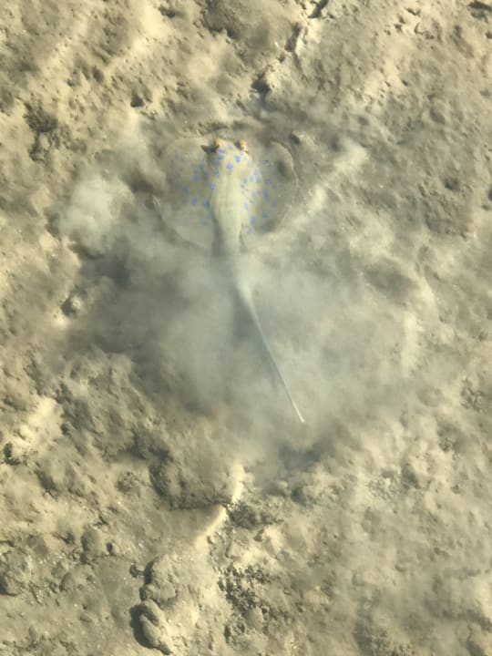 Strand Stella Beach Resort & Spa Makadi Bay