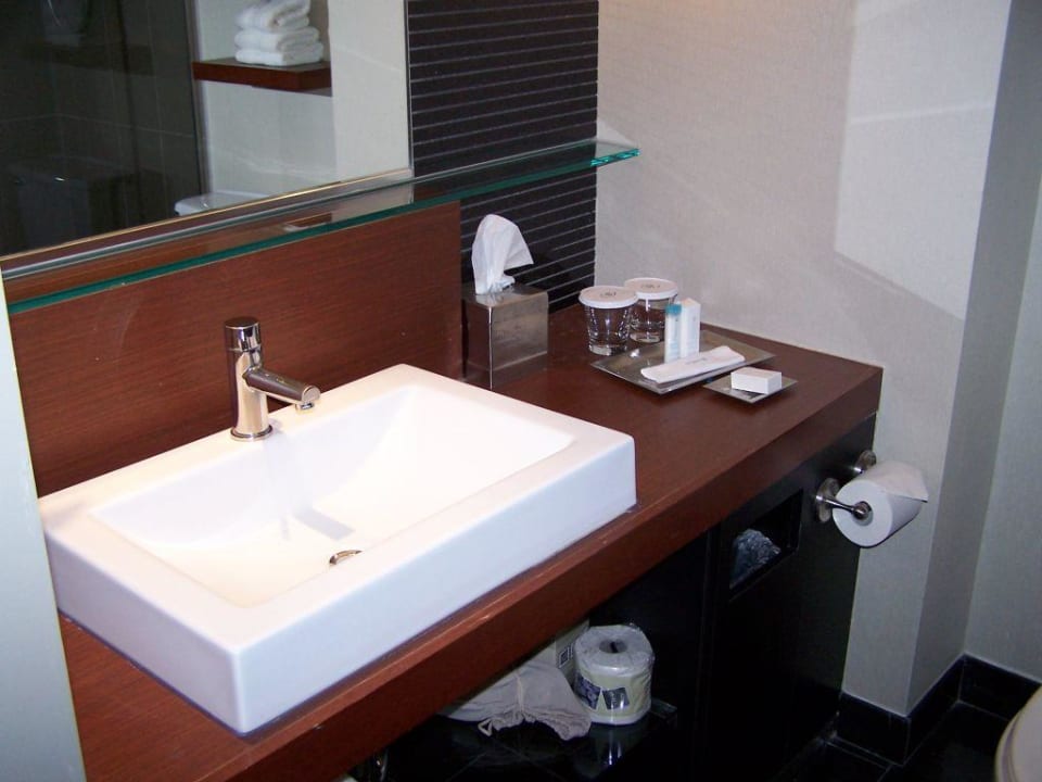 Tolles Badezimmer Hotel Hilton Toronto