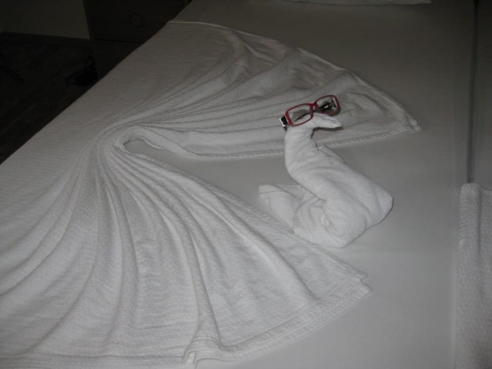 Brillenschlange Club Hotel Mirabell