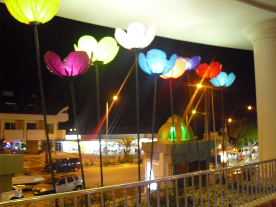 Leuchteblumen vor dem Eingang Side Alegria Hotel & Spa - Adults only +16