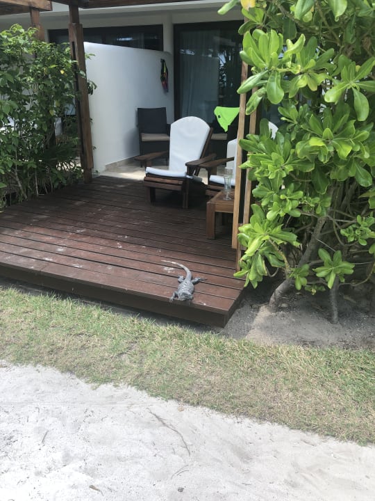 Gartenanlage Akumal Bay Beach & Wellness Resort