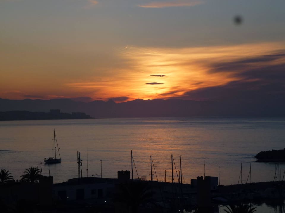 Mai 2016 Las Palmeras Affiliated by FERGUS