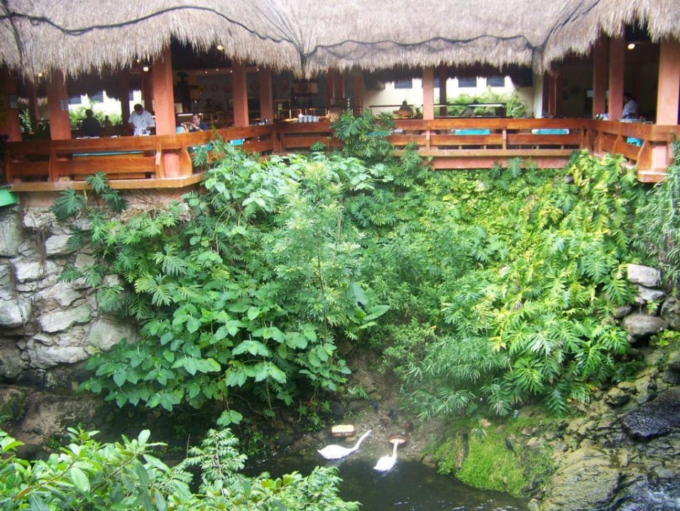 Außenansicht Buffetrestaurant Iberostar Waves Tucan