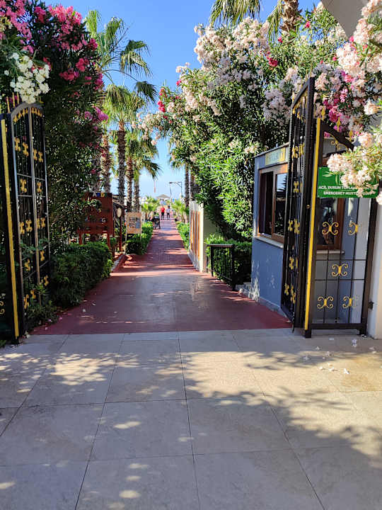 Gartenanlage Hotel Delphin Diva