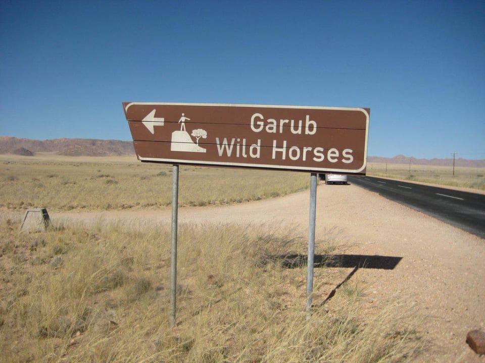 Ausflug zu den Wild Horses bei Garub Klein-Aus Vista Desert Horse Inn