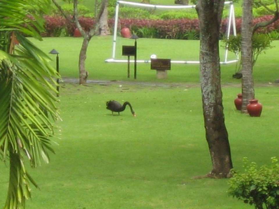 Garten InterContinental Bali Resort