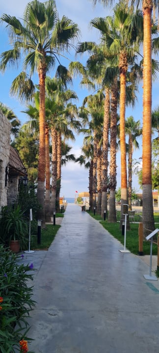 Gartenanlage Hotel Royal Garden Beach