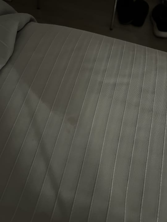 Zimmer Alexandre Hotel Gala