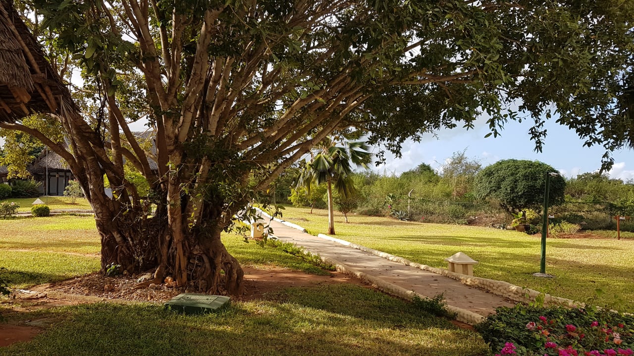Gartenanlage Royal Zanzibar Beach Resort