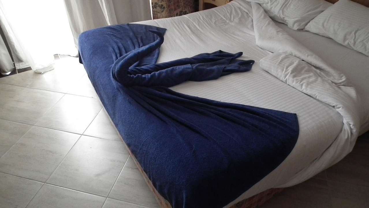 Takie tam małe co nieco Pickalbatros Alf Leila Wa Leila Resort - Neverland Hurghada