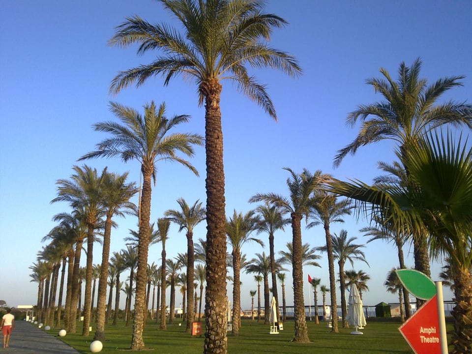 Palmengarten Adam & Eve - Adults only