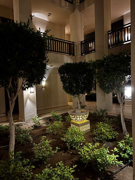 Gastro Pickalbatros Palace Hotel-Port Ghalib