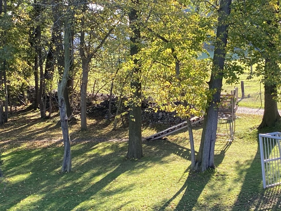 Sport & Freizeit Ferienbauernhof Liesenberg mit Meerblick