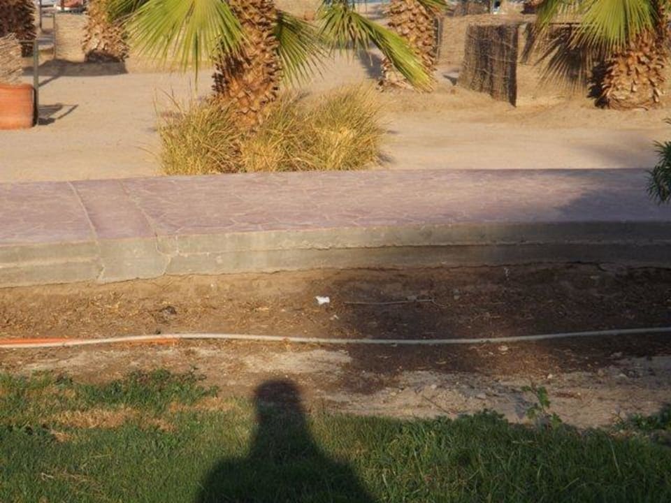 Gehweg sehr hoch sturz Gefahr  Lotus Bay Beach Resort