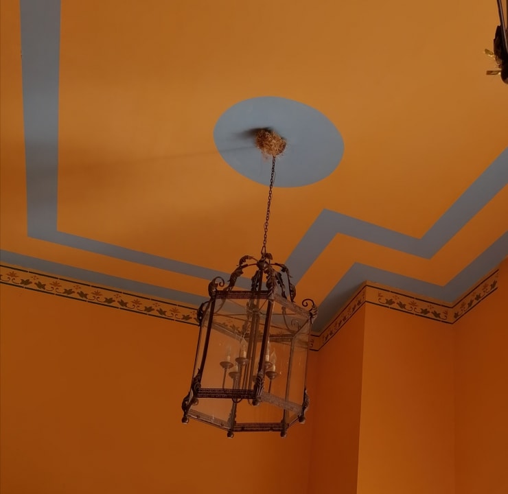 Gastro Grand Waterworld Makadi & Family Star Makadi