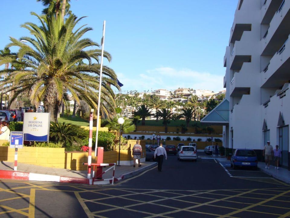 Iberostar Las Dalias Iberostar Waves Las Dalias