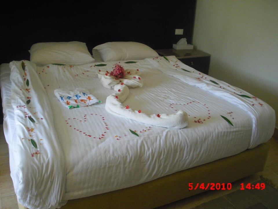 Nette Geste zum Geburtstag Pickalbatros Jungle Aqua Park Resort - Neverland Hurghada