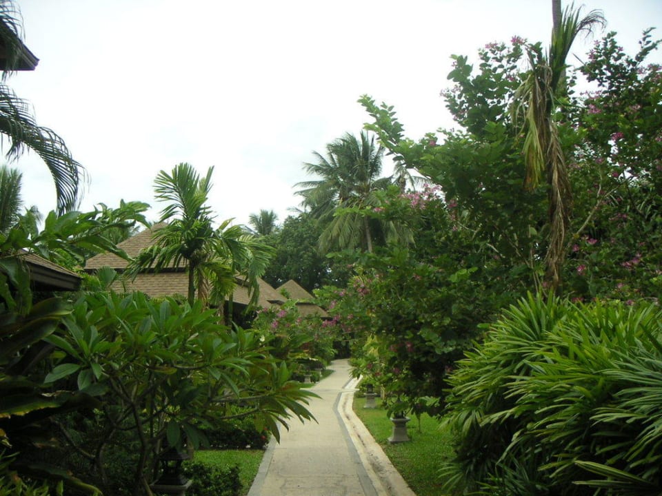Garten The Fair House Beach Resort