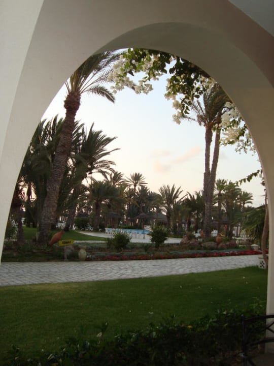 Pool Zita Beach Resort Zita Beach Resort