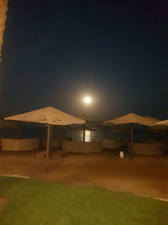 Strand Makadi Spa - Adults only