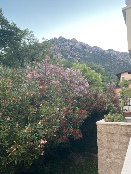 Ausblick Hotel Sogno del Benaco