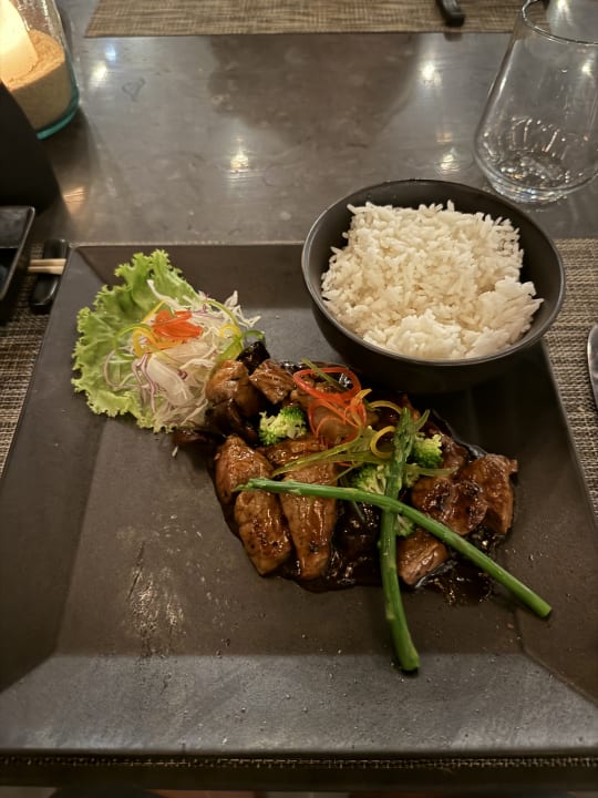 Gastro JAZ Elite Amara