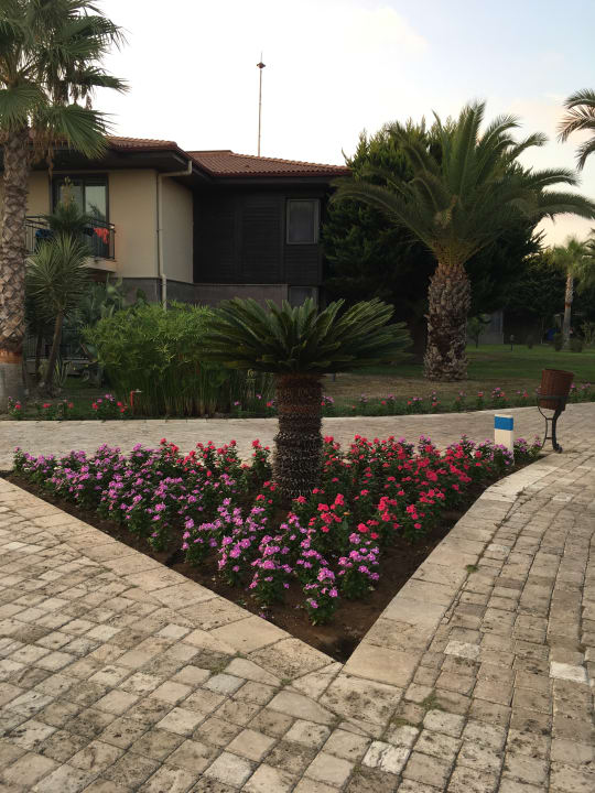 Gartenanlage TUI BLUE Palm Garden
