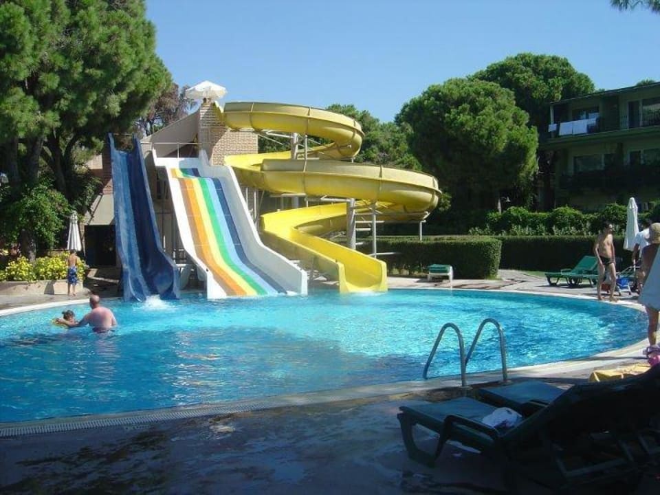 Rutschen Papillon Ayscha