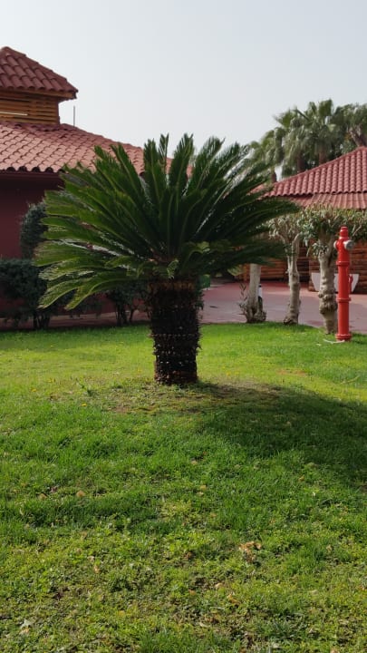 Garten Hotel Miramare Beach