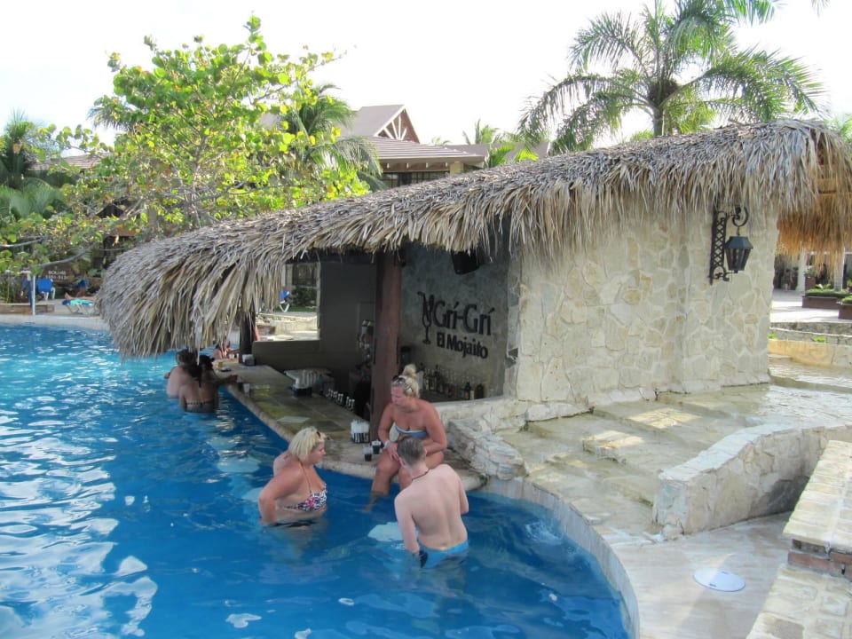 Swim in Bar Villas Bavaro Resort & Spa
