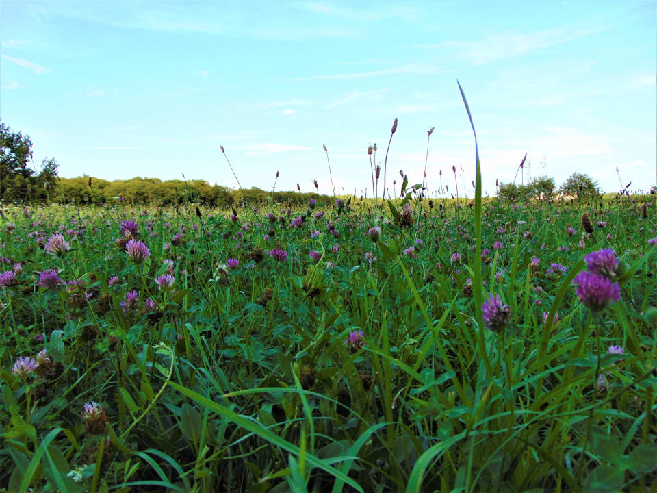 Außenansicht Hotel Molitor