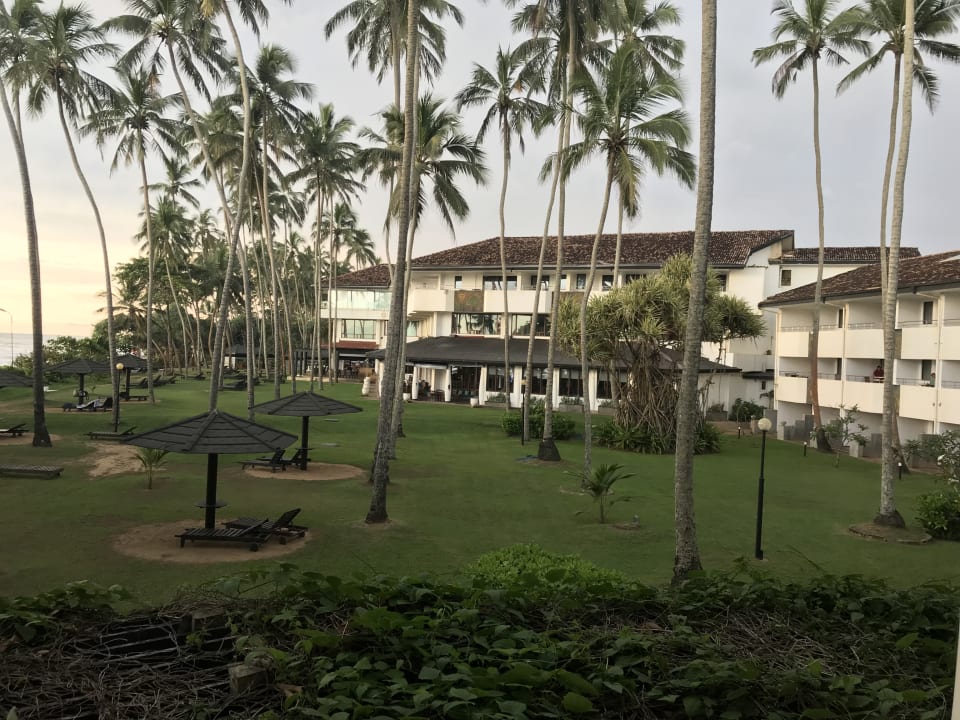 Gartenanlage Tangerine Beach Hotel